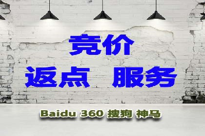 行业报告：专业SEM托管的成功实践与挑战