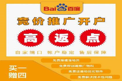 网络推广竞价实战案例分析集